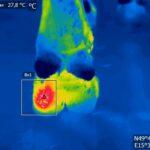 Využití termokamer při kontrole plastikářských forem